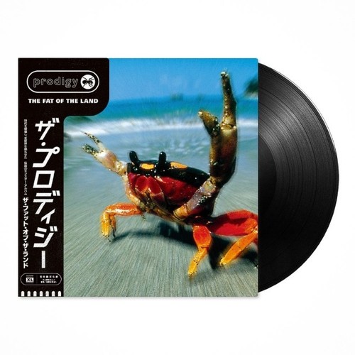 The prodigy fat - the,