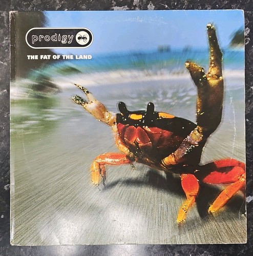 Fat the land prodigy - land, by