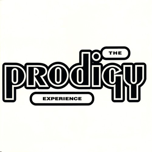 The prodigy experience vinyl - prodigy,