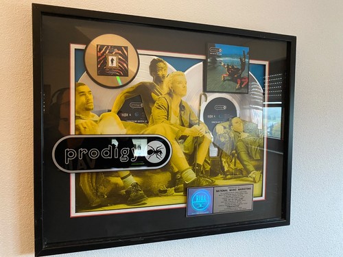 The prodigy riaa award - award, 2x