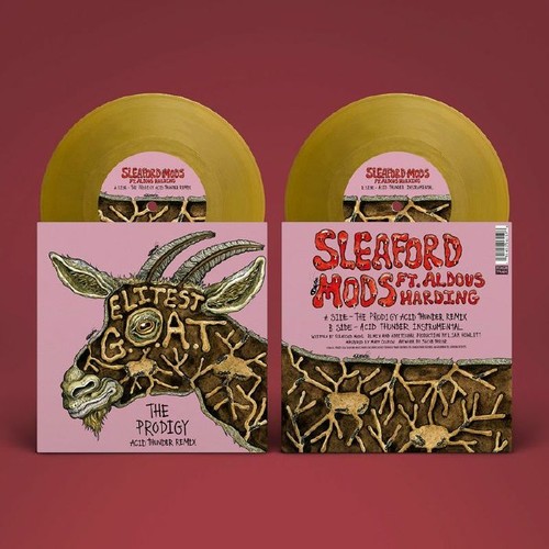 Sleaford mods elitest goat - sleaford,
