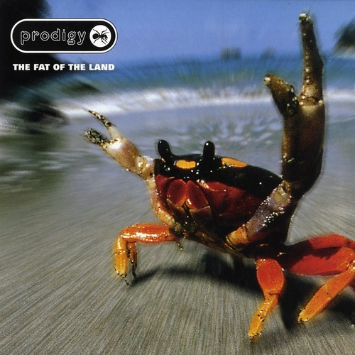 The prodigy fat - fat,
