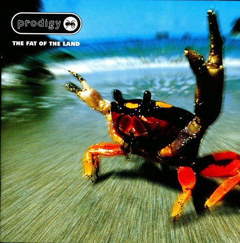 Prodigy the fat land - the,