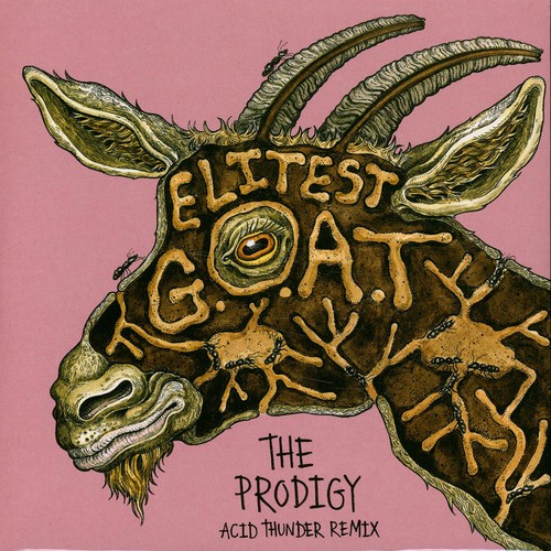 Sleaford mods the prodigy - sleaford,
